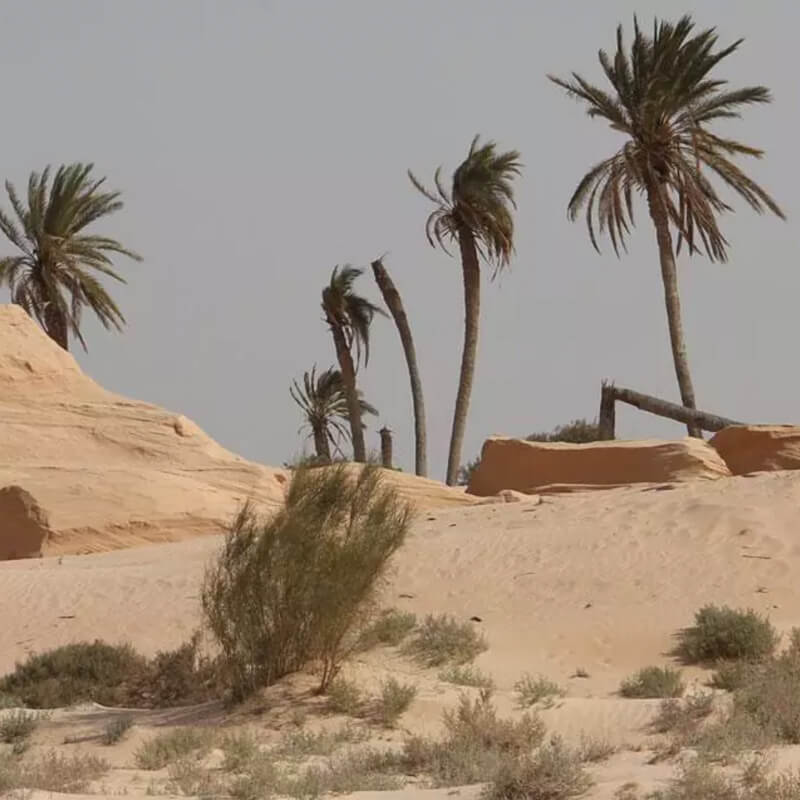 Desert Landscape - Autohome Roof Top Tents